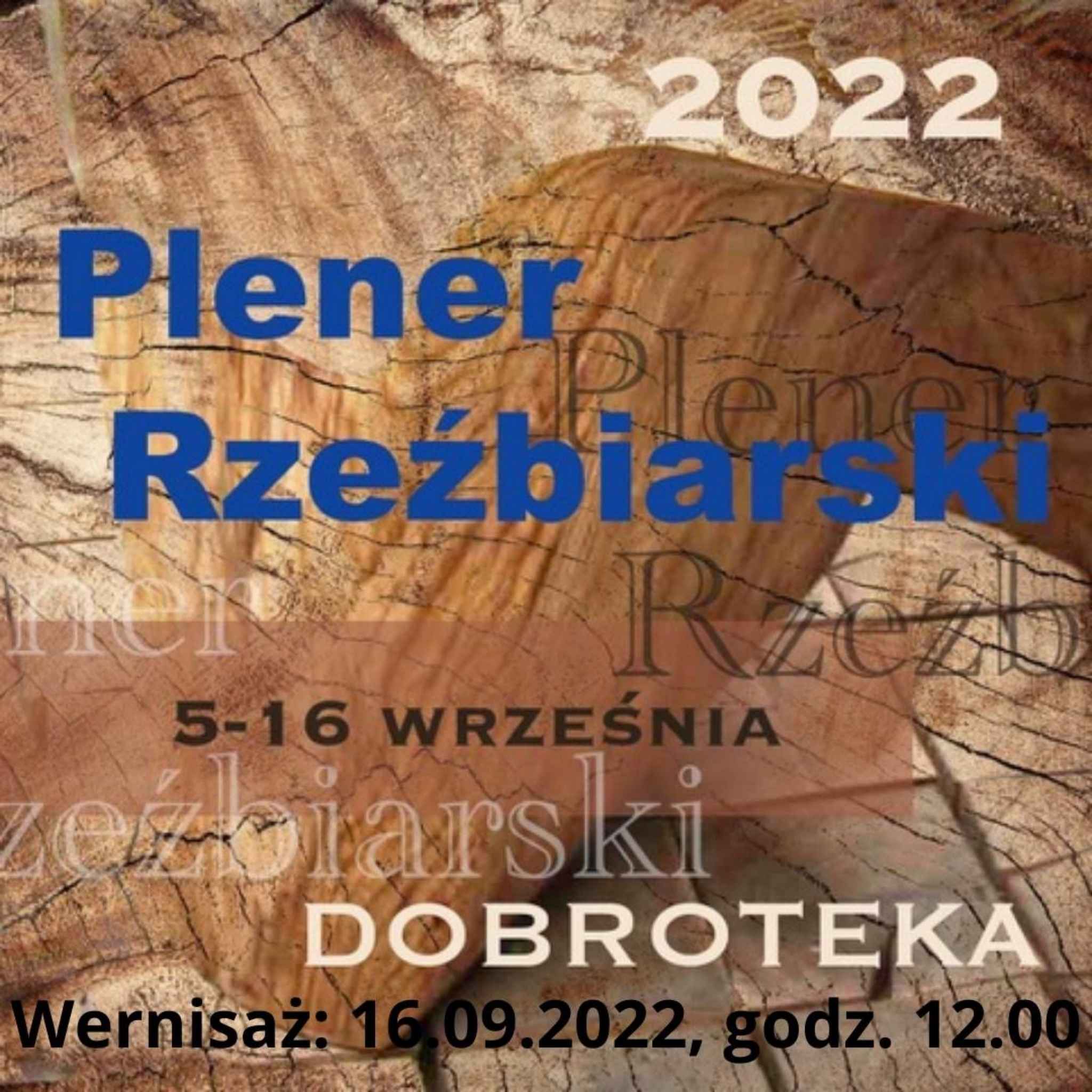 Wernisaż wystawy - Plener Rzeźbiarski 2022