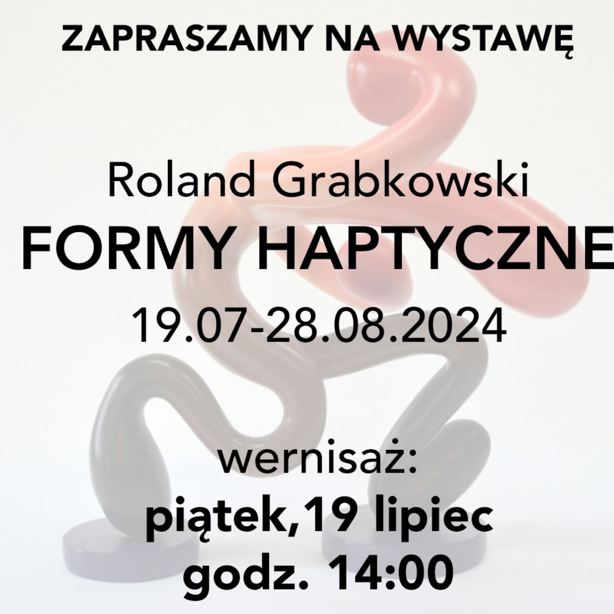 Roland Grabkowski - wystawa „FORMY HAPTYCZNE”