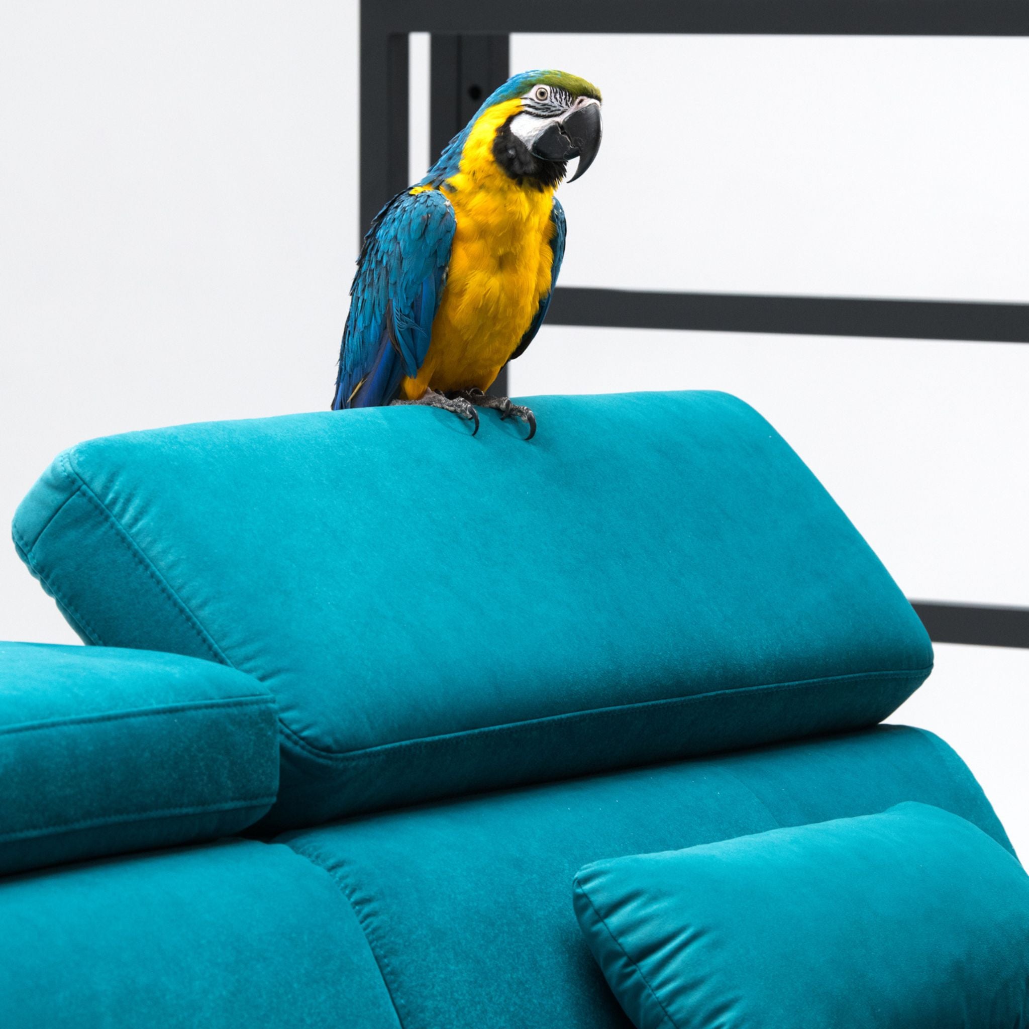 Sofa Scilla Vero – luksusowe sofy modułowe w włoskim stylu