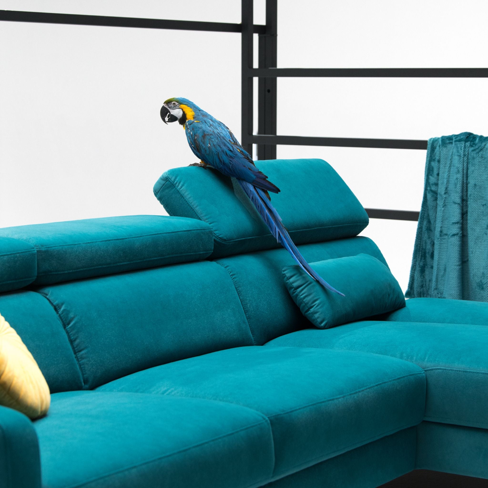 Sofa Scilla Vero – luksusowe sofy modułowe w włoskim stylu