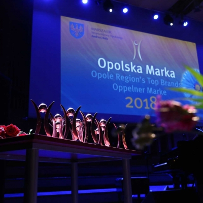 images/2019/04/15/1-Dobroteka-Halupczok-Opolska-Marka-482A42471_medium